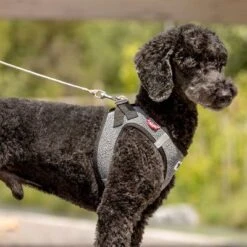 Curli Ultrastarke Taschenleine 18 Curli Ultrastarke Taschenleine -Günstiges Futter Leine Geschäft 267896 267897 ultrastarke taschenleine hs 05 3