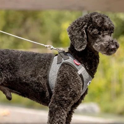 Curli Ultrastarke Taschenleine 8 Curli Ultrastarke Taschenleine – Bild 6