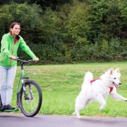 Curli Ultrastarke Taschenleine 15 Curli Ultrastarke Taschenleine -Günstiges Futter Leine Geschäft 267896 267897 ultrastarke taschenleine hs 07 2