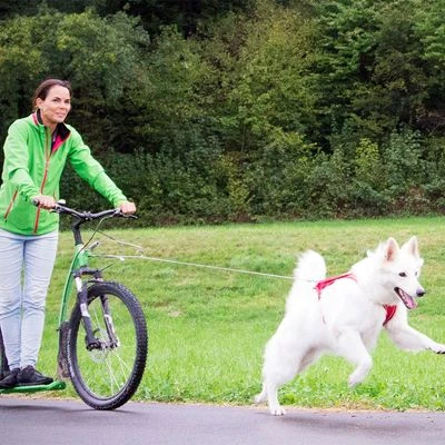 Curli Ultrastarke Taschenleine 5 Curli Ultrastarke Taschenleine – Bild 3