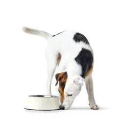 HUNTER Melamin-Napf Weiß, Mit Edelstahl-Inlet -Günstiges Futter Leine Geschäft 26939 huntermelaminnapf hs 01 3