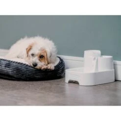 Closer Pets Trinkbrunnen, 2 Liter 19 Closer Pets Trinkbrunnen, 2 Liter -Günstiges Futter Leine Geschäft 281596 closer pets trinkbrunnen 2 liter hs 21 5