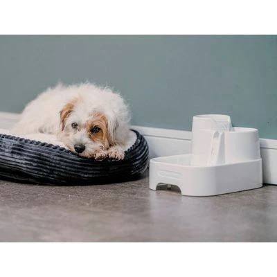 Closer Pets Trinkbrunnen, 2 Liter 5 Closer Pets Trinkbrunnen, 2 Liter – Bild 3