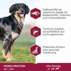 Eukanuba Adult Mono-Protein Mit Lachs -Günstiges Futter Leine Geschäft 285299 285298 tetra eukanuba adult monoprotein lachs hs 02 9
