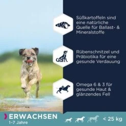 Eukanuba Grain Free Adult Small / Medium Breed Huhn -Günstiges Futter Leine Geschäft 285396 285397 tetra eukanuba grainfree adult small hs 01 0