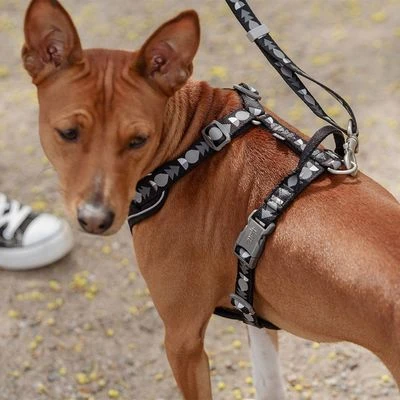 Hurtta Bare Y-Geschirr, Coal – Bild 3