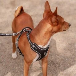 Hurtta Bare Y-Geschirr, Coal -Günstiges Futter Leine Geschäft 288340 288341 288342 291296 hurtta bare ygeschirr coal hs 09 2