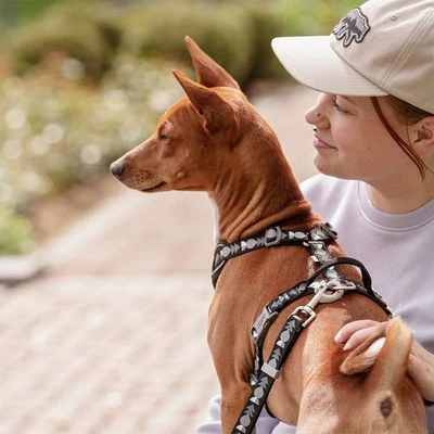 Hurtta Bare Y-Geschirr, Coal – Bild 10