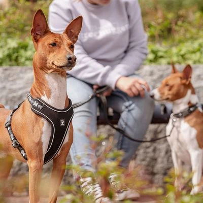 Hurtta Bare Y-Geschirr, Coal – Bild 14