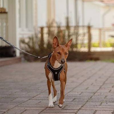 Hurtta Bare Y-Geschirr, Coal – Bild 16