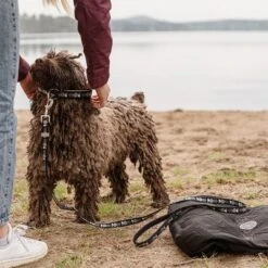 Hurtta Bare Zug-Stopp Halsband, Coal -Günstiges Futter Leine Geschäft 288344 288345 288346 288347 hurtta bare zugstopp halsband coal hs 08 4