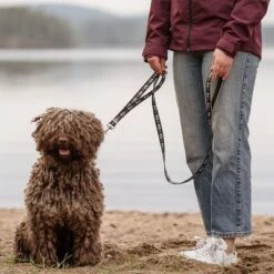 Hurtta Bare Verstellbare Führleine, Coal -Günstiges Futter Leine Geschäft 288348 hurtta bare verstellbare fuehrleine coal hs 02 1