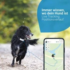 Tractive GPS Tracker Für Hundeneu -Günstiges Futter Leine Geschäft 2 tractive gps hund 6