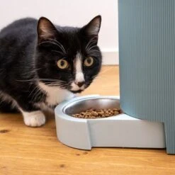 TIAKI Futter- Und Wasserspender, Hellblau -Günstiges Futter Leine Geschäft 302496 duo napf mit katze fg 1019 0