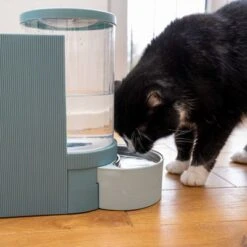 TIAKI Futter- Und Wasserspender, Hellblau -Günstiges Futter Leine Geschäft 302496 duo napf mit katze fg 1028 7