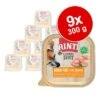RINTI Leichte Beute 9 X 300 G -Günstiges Futter Leine Geschäft 310396 finnern rinti leichtebeute huhn 9x300g hs 01 6