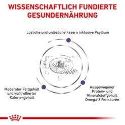 Royal Canin Expert Canine Neutered Adult Large Dog -Günstiges Futter Leine Geschäft 3182550761925 6669 4 9