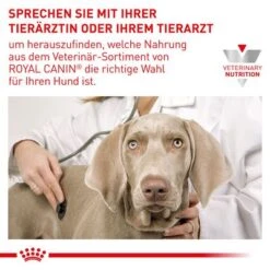 Royal Canin Expert Canine Neutered Adult Large Dog -Günstiges Futter Leine Geschäft 3182550761925 6669 9 5