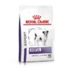 Royal Canin Expert Canine Dental Small Dog -Günstiges Futter Leine Geschäft 3182550783910 333 1 0