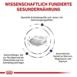 Royal Canin Expert Canine Dental Small Dog -Günstiges Futter Leine Geschäft 3182550783910 333 4 4