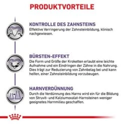 Royal Canin Expert Canine Dental Small Dog -Günstiges Futter Leine Geschäft 3182550783910 333 5 1