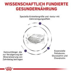 Royal Canin Expert Canine Dental Medium & Large Dog -Günstiges Futter Leine Geschäft 3182550925310 328 4 0