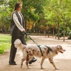 Nomad Tales Blush Geschirr, Emerald -Günstiges Futter Leine Geschäft 323020 nomad tales blush geschirr emerald 03 1