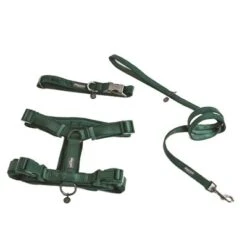 Nomad Tales Blush Geschirr, Emerald -Günstiges Futter Leine Geschäft 323020 nomad tales blush geschirr emerald 06 0