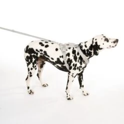 TIAKI Hundeleine Reflective Rubber, Grau 21 TIAKI Hundeleine Reflective Rubber, Grau -Günstiges Futter Leine Geschäft 323033 neoprene geschirr l fg 0468 7