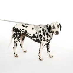 TIAKI Geschirr Neoprene, Grau -Günstiges Futter Leine Geschäft 323033 neoprene geschirr l fg 0470 9