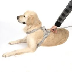 TIAKI Geschirr Neoprene, Grau -Günstiges Futter Leine Geschäft 323033 neoprene geschirr l fg 1703 5