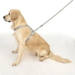 TIAKI Hundeleine Reflective Rubber, Grau 15 TIAKI Hundeleine Reflective Rubber, Grau -Günstiges Futter Leine Geschäft 323033 neoprene geschirr l fg 1705 5