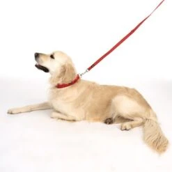 TIAKI Hundeleine Reflective Rubber, Rot 23 TIAKI Hundeleine Reflective Rubber, Rot -Günstiges Futter Leine Geschäft 323199 soft save m fg 1630 5