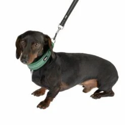 TIAKI Hundeleine Reflective Rubber, Schwarz -Günstiges Futter Leine Geschäft 323202 323497 dackel fg 1293 1