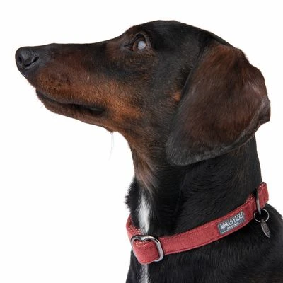 Nomad Tales Blush Halsband, Rosé 5 Nomad Tales Blush Halsband, Rosé – Bild 3