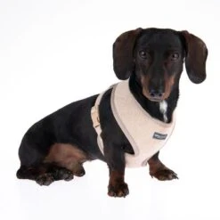 Nomad Tales Calma Geschirr, Sand -Günstiges Futter Leine Geschäft 324711 calma m fg 7280 2