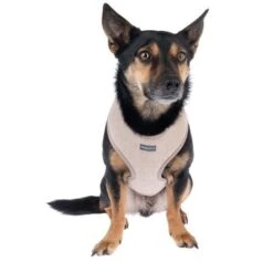 Nomad Tales Calma Geschirr, Sand -Günstiges Futter Leine Geschäft 324713 calma fg 7794 7