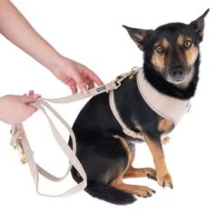 Nomad Tales Calma Hundeleine, Sand -Günstiges Futter Leine Geschäft 324713 calma fg 7805 1