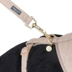 Nomad Tales Calma Hundeleine, Sand -Günstiges Futter Leine Geschäft 324713 calma fg 7811 0