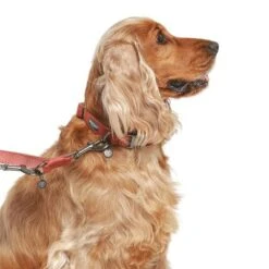 Nomad Tales Blush Hundeleine, Rosé 33 Nomad Tales Blush Hundeleine, Rosé -Günstiges Futter Leine Geschäft 325600 325601 nomadtales blush hundeleine rose hs 03 9