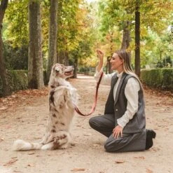 Nomad Tales Blush Hundeleine, Rosé 23 Nomad Tales Blush Hundeleine, Rosé -Günstiges Futter Leine Geschäft 325600 325601 nomadtales blush hundeleine rose hs 07 4