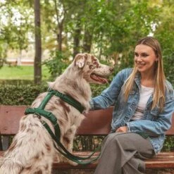 Nomad Tales Blush Hundeleine, Emerald -Günstiges Futter Leine Geschäft 325696 324719 nomad tales blush hundeleine emerald hs 06 4