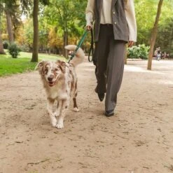 Nomad Tales Blush Hundeleine, Emerald -Günstiges Futter Leine Geschäft 325696 324719 nomad tales blush hundeleine emerald hs 07 2