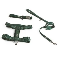 Nomad Tales Blush Hundeleine, Emerald -Günstiges Futter Leine Geschäft 325696 324719 pla nomad tales blush hundeleine emerald hs 01 6