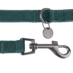 Nomad Tales Blush Hundeleine, Emerald -Günstiges Futter Leine Geschäft 325696 nomad tales blush hundeleine emerald fg 1415 5