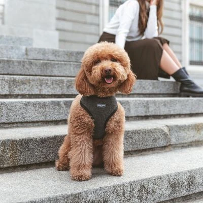 Nomad Tales Calma Geschirr, Ebony 6 Nomad Tales Calma Geschirr, Ebony – Bild 4