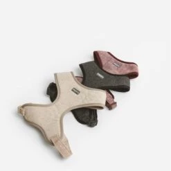 Nomad Tales Calma Geschirr, Burgundy -Günstiges Futter Leine Geschäft 325796 nomad tales calma ebony 05 5