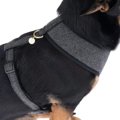 Nomad Tales Calma Geschirr, Ebony 13 Nomad Tales Calma Geschirr, Ebony – Bild 11