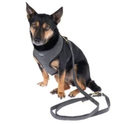 Nomad Tales Calma Geschirr, Ebony 39 Nomad Tales Calma Geschirr, Ebony -Günstiges Futter Leine Geschäft 325898 calma fg 7844 5