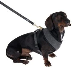 Nomad Tales Calma Hundeleine, Ebony 18 Nomad Tales Calma Hundeleine, Ebony -Günstiges Futter Leine Geschäft 325996 325901 calma m fg 7270 7